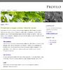 Profilo - Template Screenshot